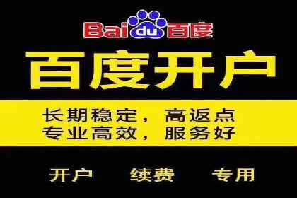SEM推广实战案例：关键词优化与广告投放技巧